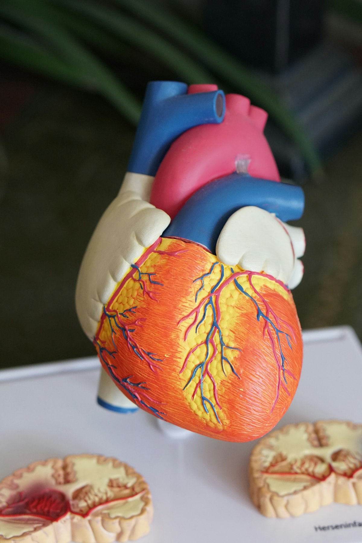 A parent caring for an unwell child