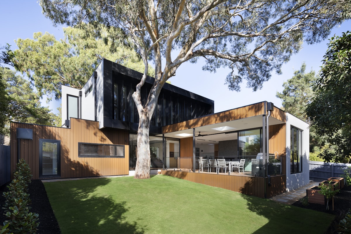 Ant Colony Elimination view 2
